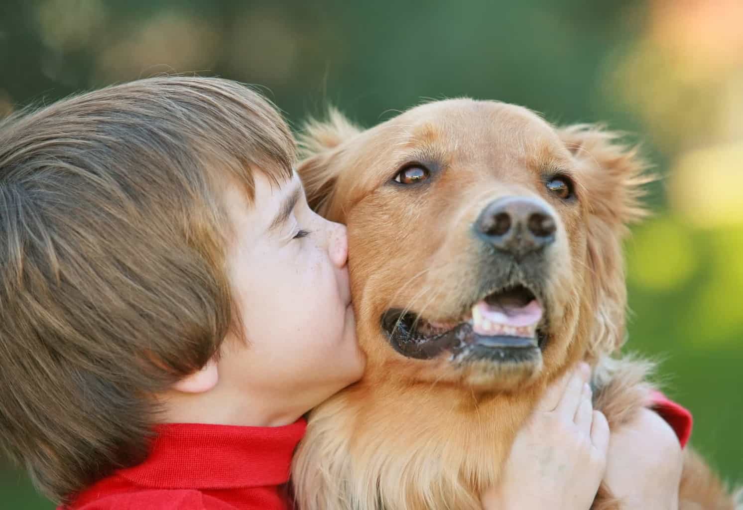 barn pussar en försäkrad hund och känner sig trygg